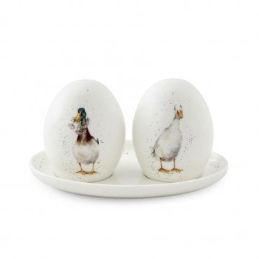 'Not a Daisy Goes By' Duck Salt and Pepper Pots