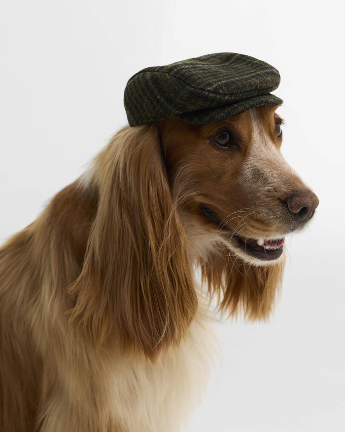 Barbour Wilkin Dog Flat Cap