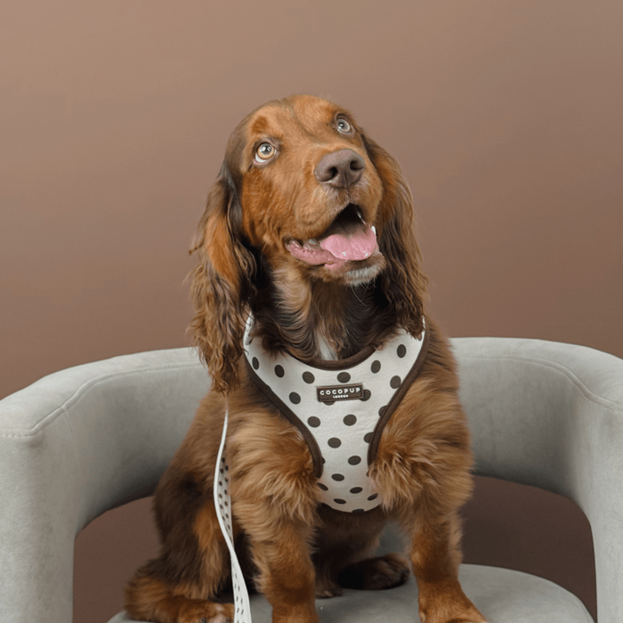 Tiramisu Polka Dot Adjustable Neck Harness